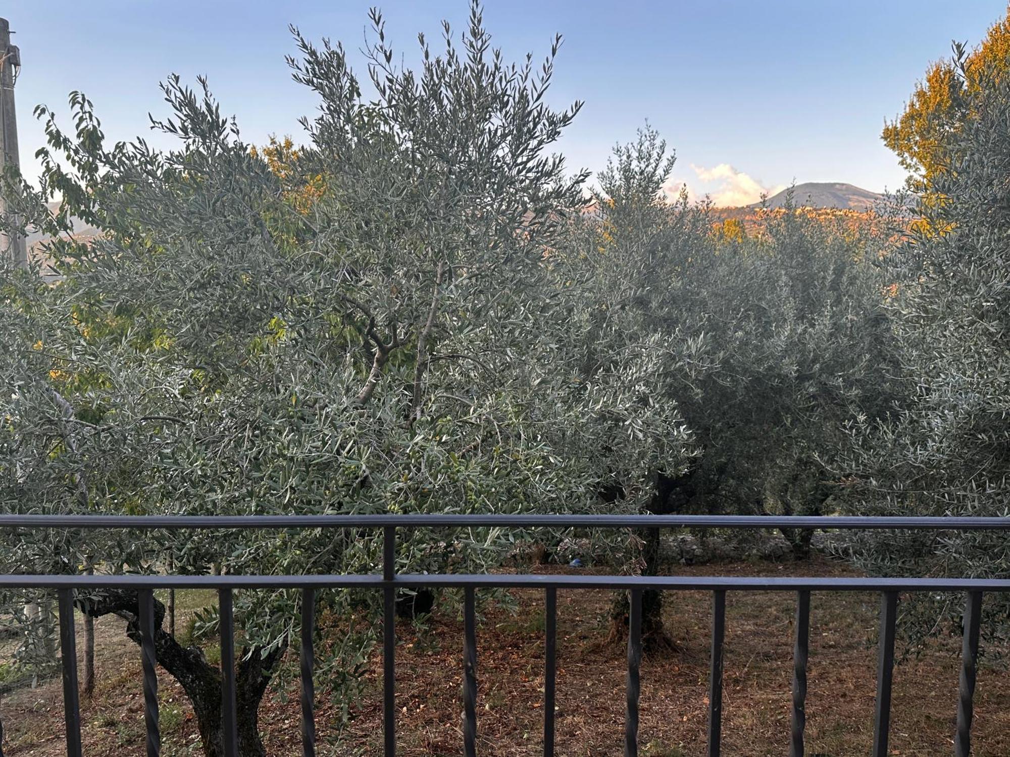 La Casa In Collina Apartment Veroli Екстериор снимка